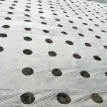 Градинска Подложка За Растеж Без Плевели (0,95x10м) - VEGUARD®, gradinska podlojka za rastej bez pleveli 095x10m veguard