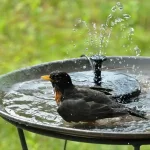 Соларен Фонтан За Градина и Балкон - FONTANA®, solaren fontan za gradina i balkon fontana
